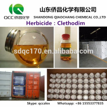 Fábrica directa Suministro Agroquímico / Herbicida Clethodim 85% -92% TC 24% EC 12% EC CAS 99129-21-2